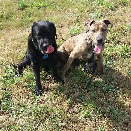 Casa Aida Pensión *